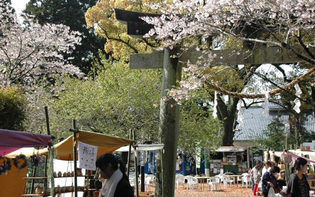 高鍋城桜まつり～桜と人と暮らふと～